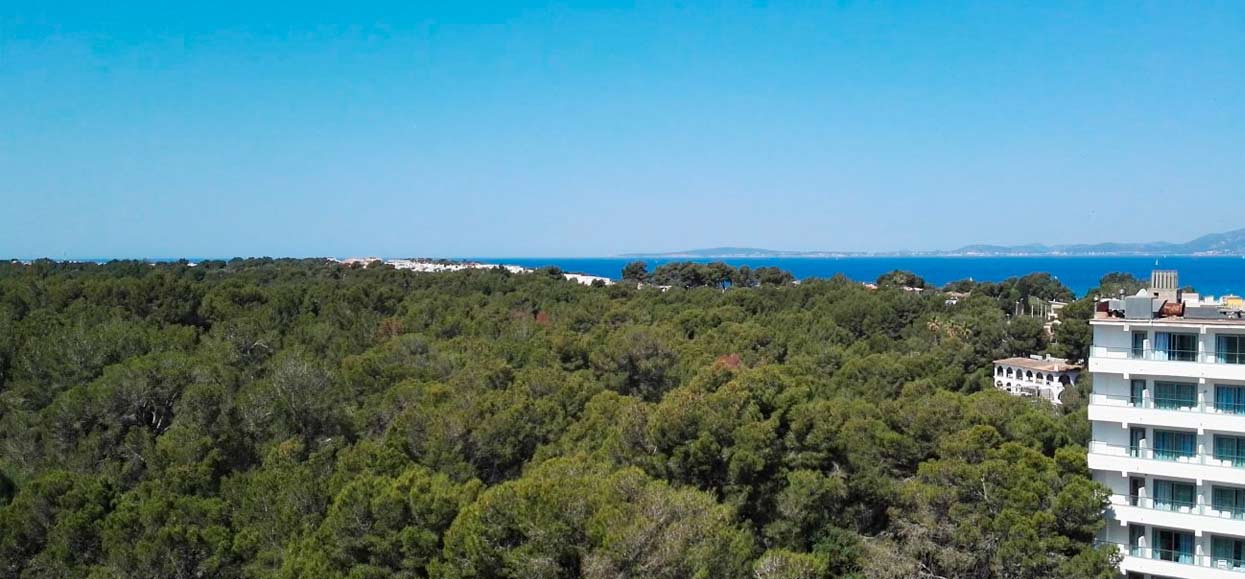 hotel manaus habitacion doble con vistas al bosque habitacion doble con vistas al bosque hotel manaus